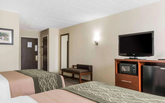 Comfort Inn - Pocono Mountains