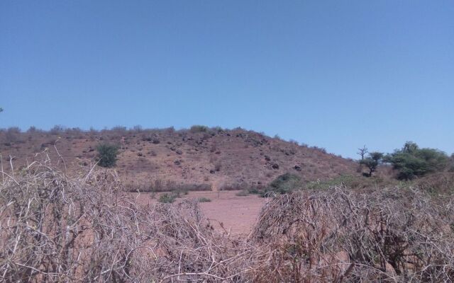 Paradialaw
