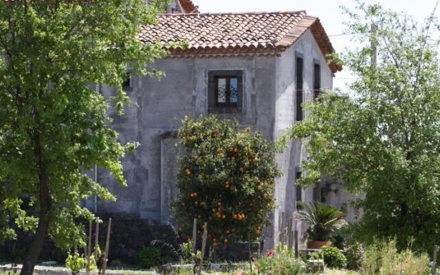 Red Etna-Taormina: The Land of Wine