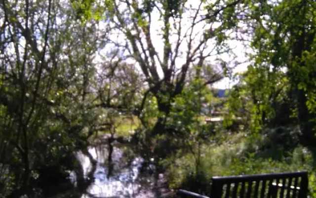 Pear Tree Farm