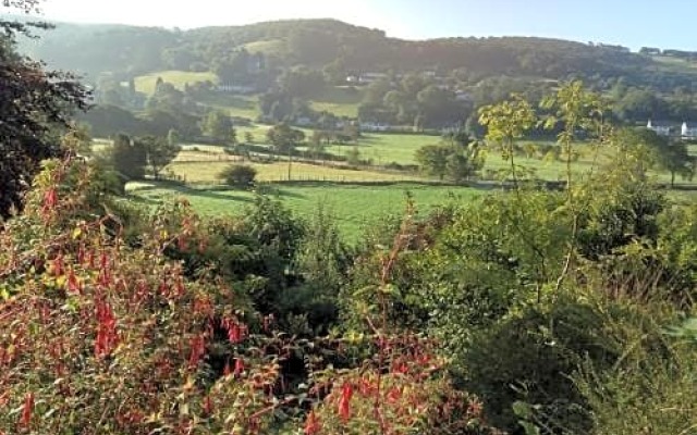 Bryncoed