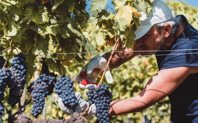 La Pia Dama - Residence