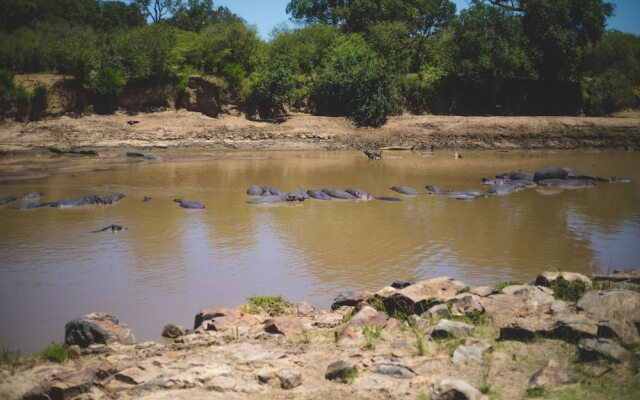 Mara Sidai Camp