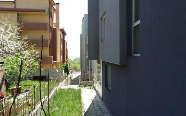 New Purple Building Studios