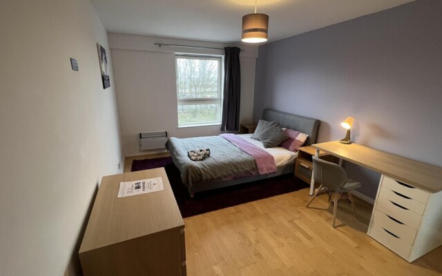 Spacious Modern 2BR Apartment Near City Center