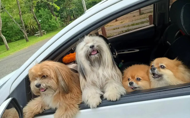 Family Resort Khao Yai (Pet-friendly hotel)