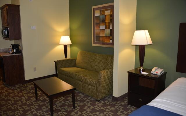 Holiday Inn Express Hotel & Suites Dumas by IHG