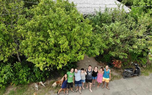 Lazy Lizard Hostel