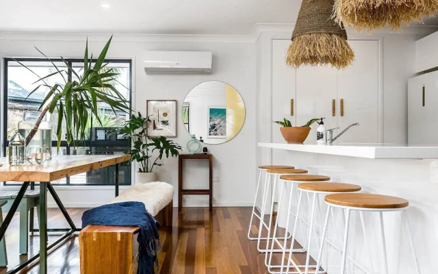 Bangalow Palms