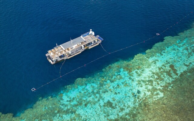 Reefsleep