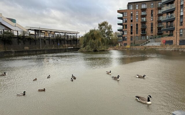 Luxury Apartment in Dartford