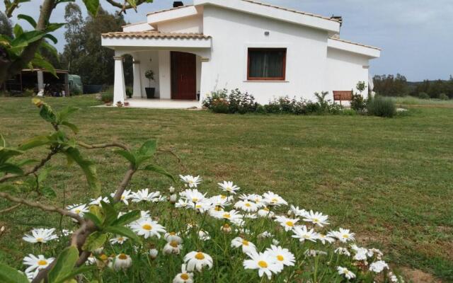 B&B Briosa