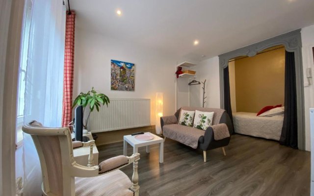 L'Ours de Colmar - Appartements en centre ville