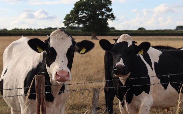 Oxen Cottage @ Nables Farm