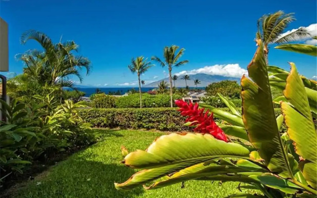 Maui Kamaole J-116 - 1 Br Condo
