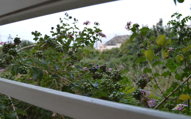 Nikos Apartments