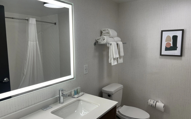 Holiday Inn Nashville Downtown - Stadium by IHG
