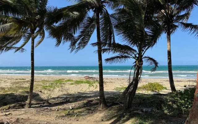 Cozy Studio Apartment 2 min to the Beach, Rooftop
