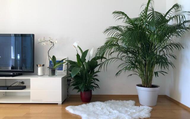 Apartment Charming