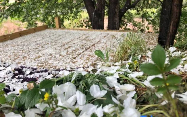 Xueren Nuandeng Apartment