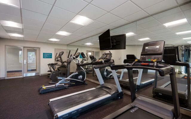 Spark by Hilton Destin