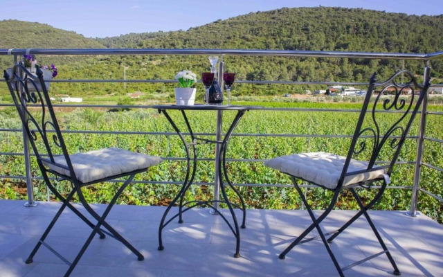 Filip - Vineyard and Large Terrace - SA2 Rozi