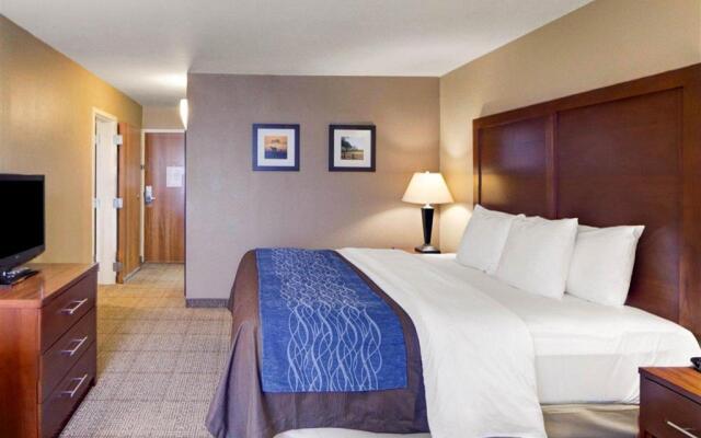 Comfort Inn and Suites Plano East