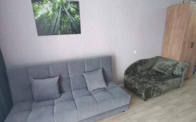 Апартаменты в микрорайоне Околица