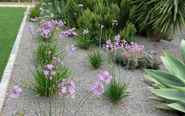 Quinta Vale Caranguejo