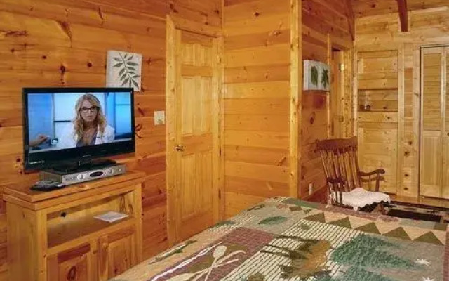 Buddy Bear 249 by Aunt Bug's Cabin Rentals