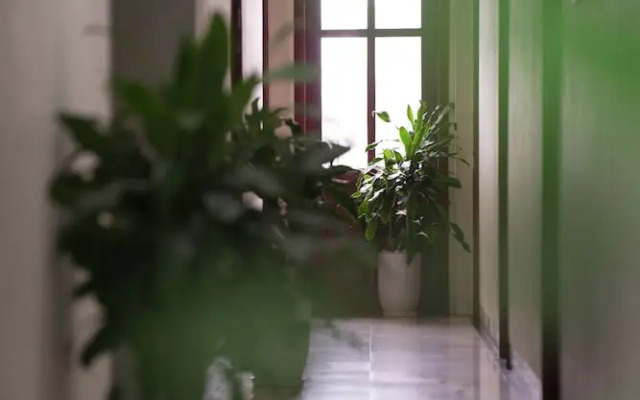 Sunrise Ninh Binh Hotel - Hostel