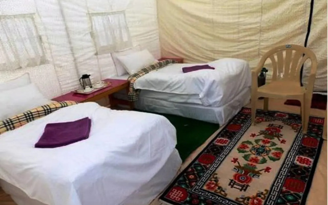 TIH The Regal Camp