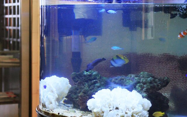 Hotel AreaOne Kagoshima