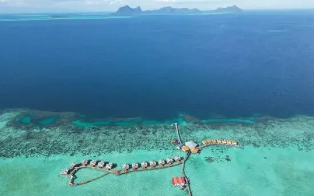Jelly Sea Resort