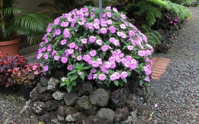 Ekomomai Vacation Rental