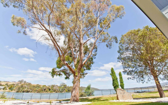 Waterfront Apartments