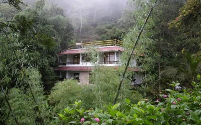Spring & Valley View