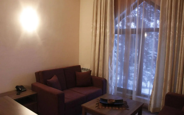 SPA Club Bor Hotel & Wellness