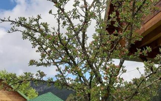 Yayla Bungalov Hotel