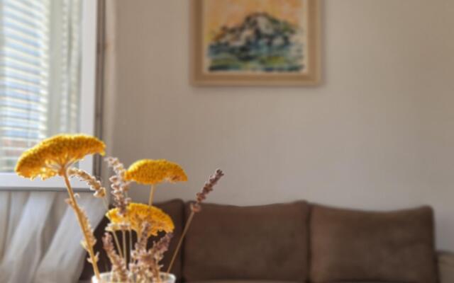 Dami - 100m from the sea - A1 Sun(2+1)