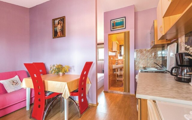 Nice Apartment in Liznjan With 1 Bedrooms
