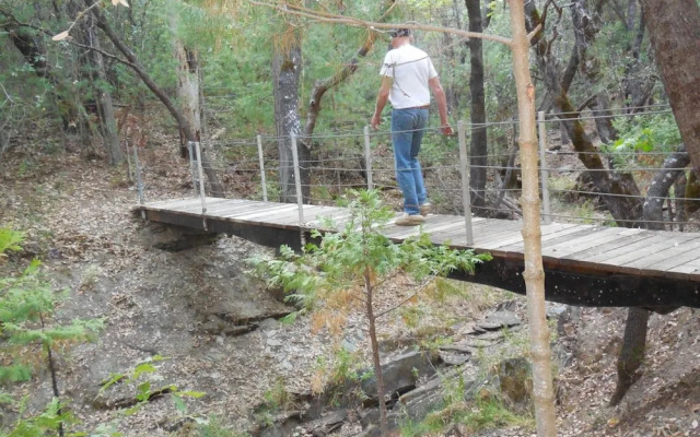 Yosemite Paradise Inn