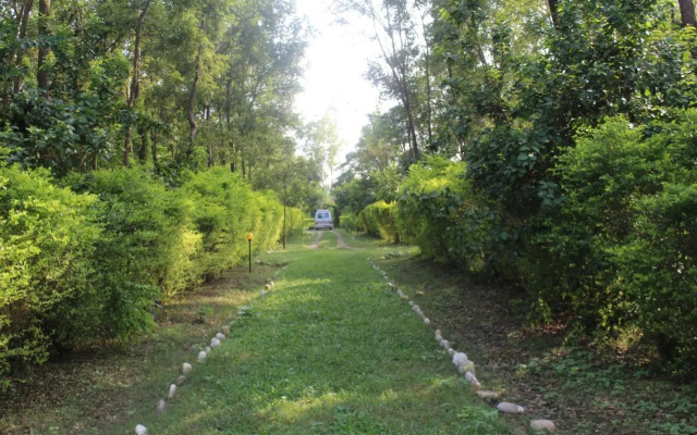 Suklaphanta Jungle Cottage
