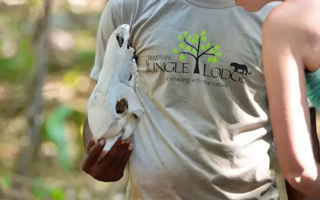 Pantanal Jungle Lodge