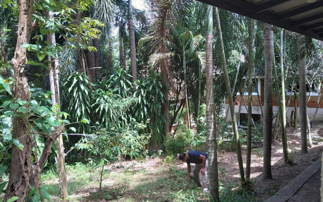 Wilai Villa