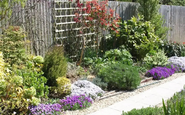 Rose Briar B&B