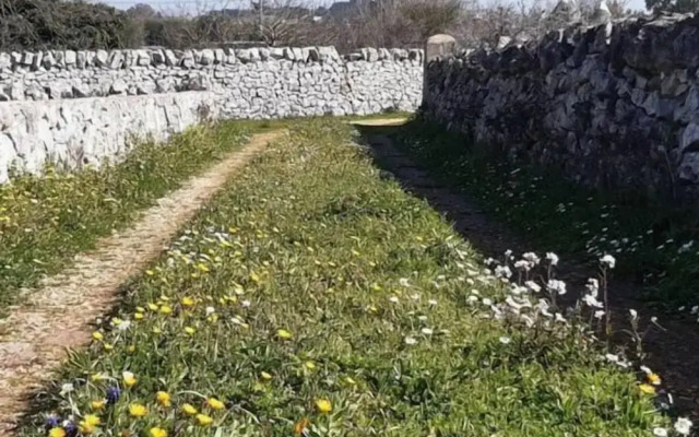 Trulli sotto La Cupa