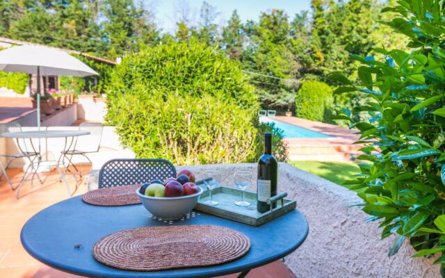 Bardeggiano - Caterina 7 (COL240)