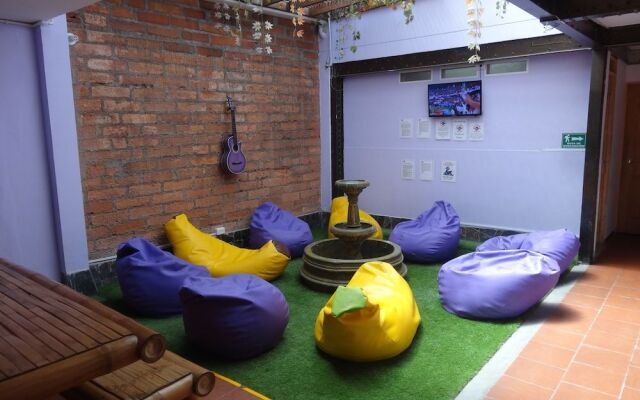 Purple Monkey Hostel