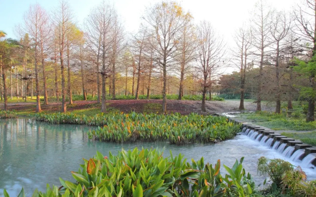 Fengtian Home Stay- Hostel